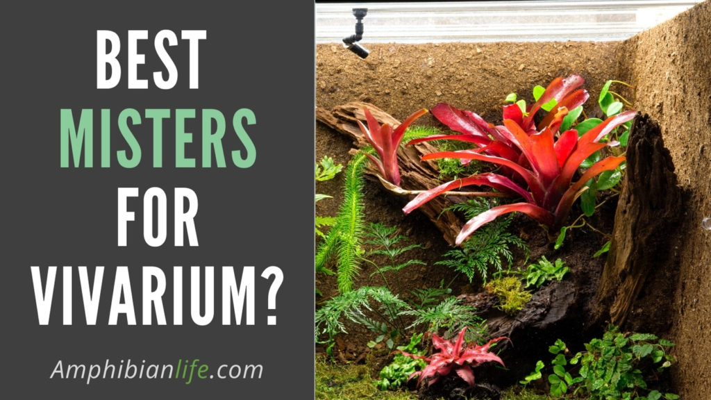 Terrarium vs Vivarium vs Paludariums and other ‘Ariums’ Amphibian Life