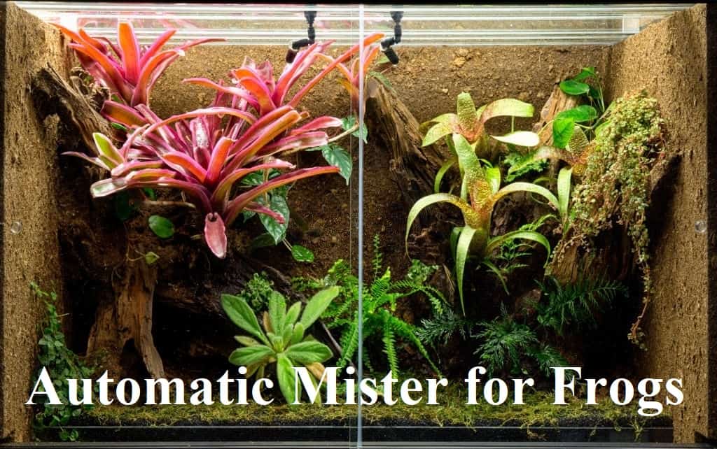 Best misters for vivarium