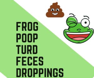 What Does Frog Poop Look Like (You May Be Surprised)