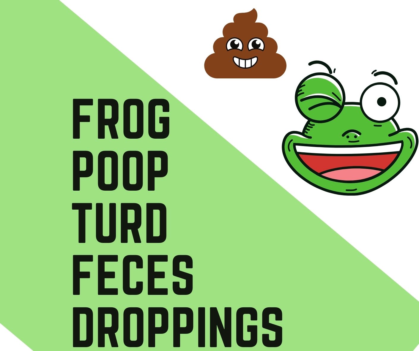frog poop turd droppings