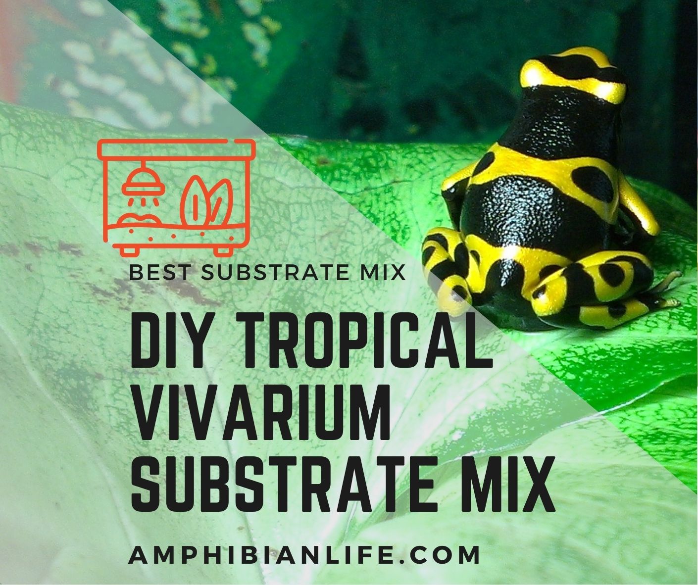 DIY Tropical Vivarium Substrate Mix