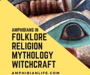 Frogs and Toads in Religion, Mythology, and Witchcraft