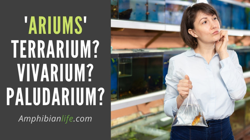 Difference between vivarium terrarium paludarium