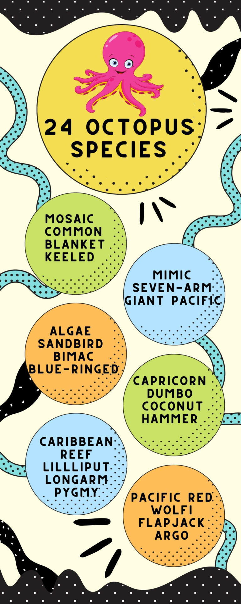 400+ Clever, Famous and Unique Pet Octopus Names Amphibian Life