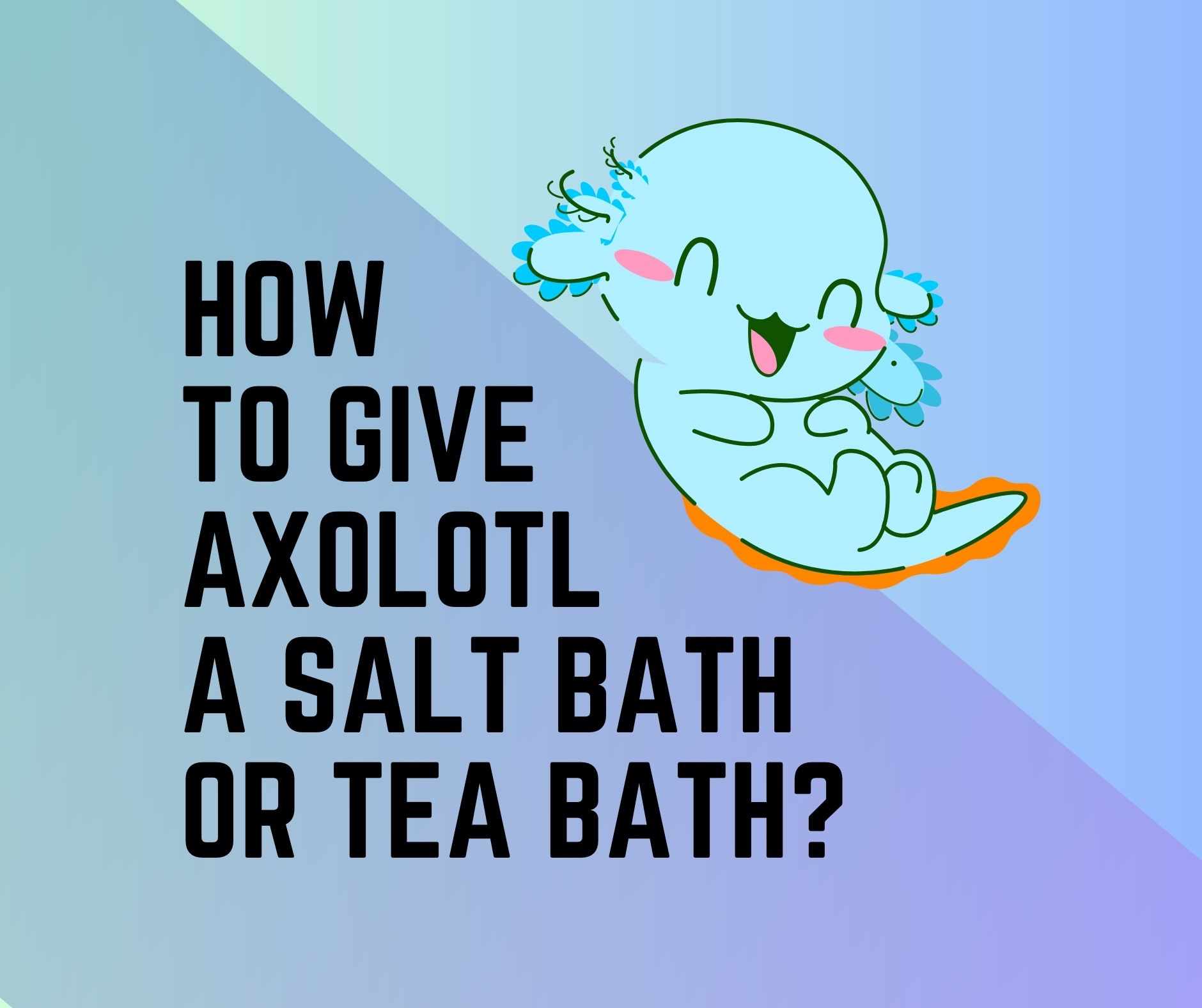 Giving A salt bath for Axolotl