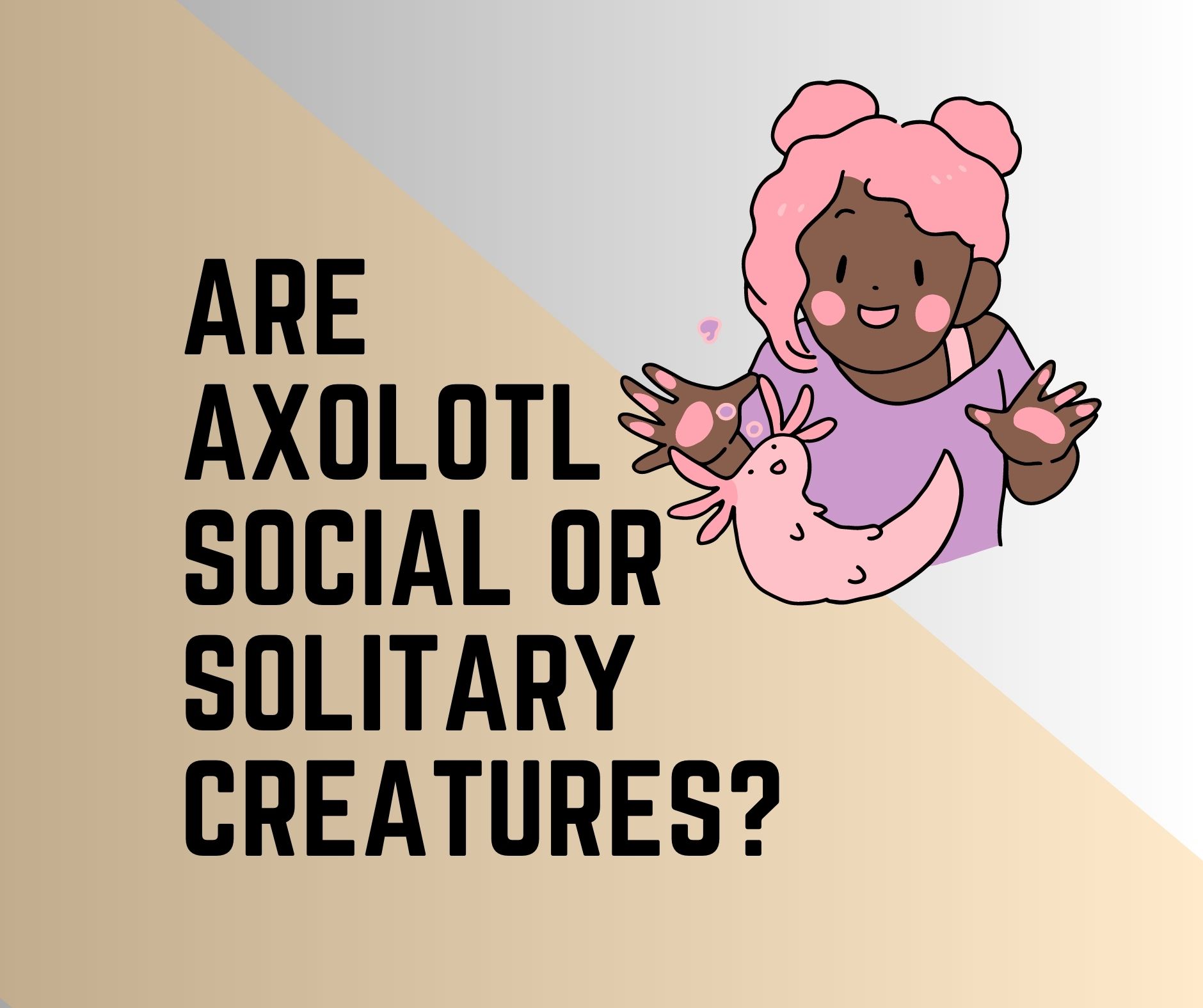 Axolotls Social or Solitary Creatures