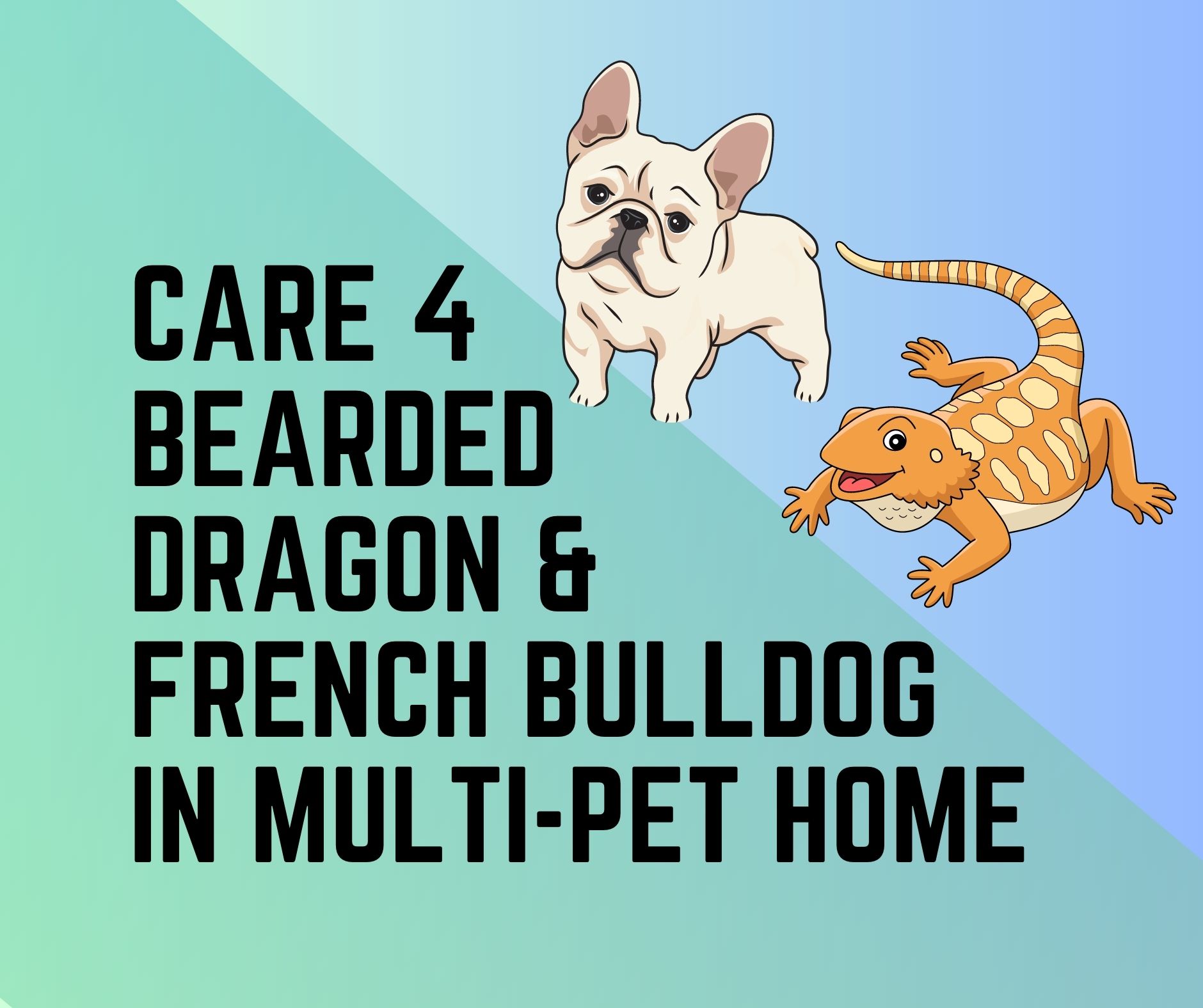Caring for a Bearded Dragon and French Bulldog in a Multi-Pet Household