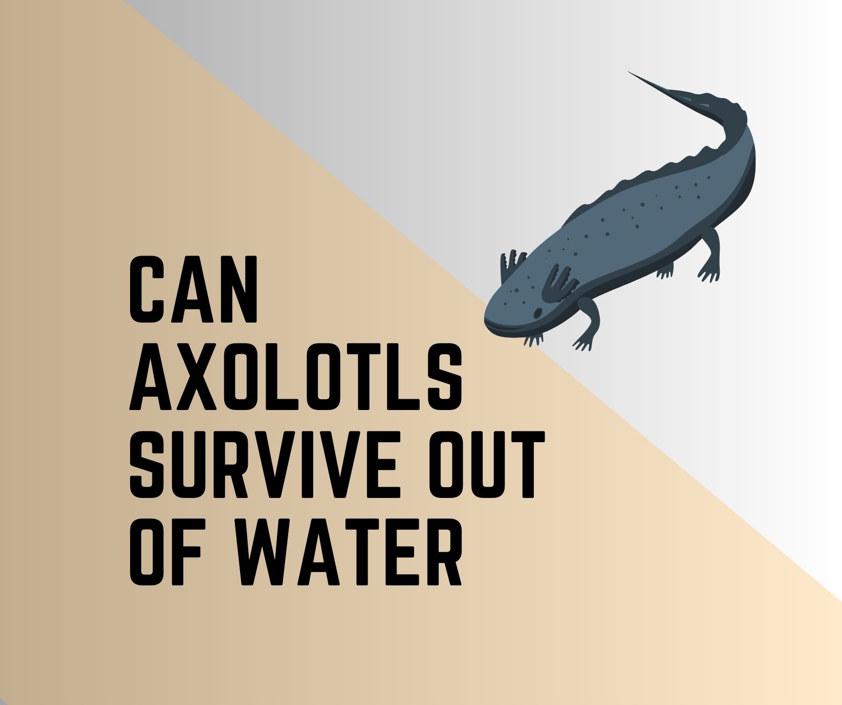 Can Axolotls Survive Out Of Water?