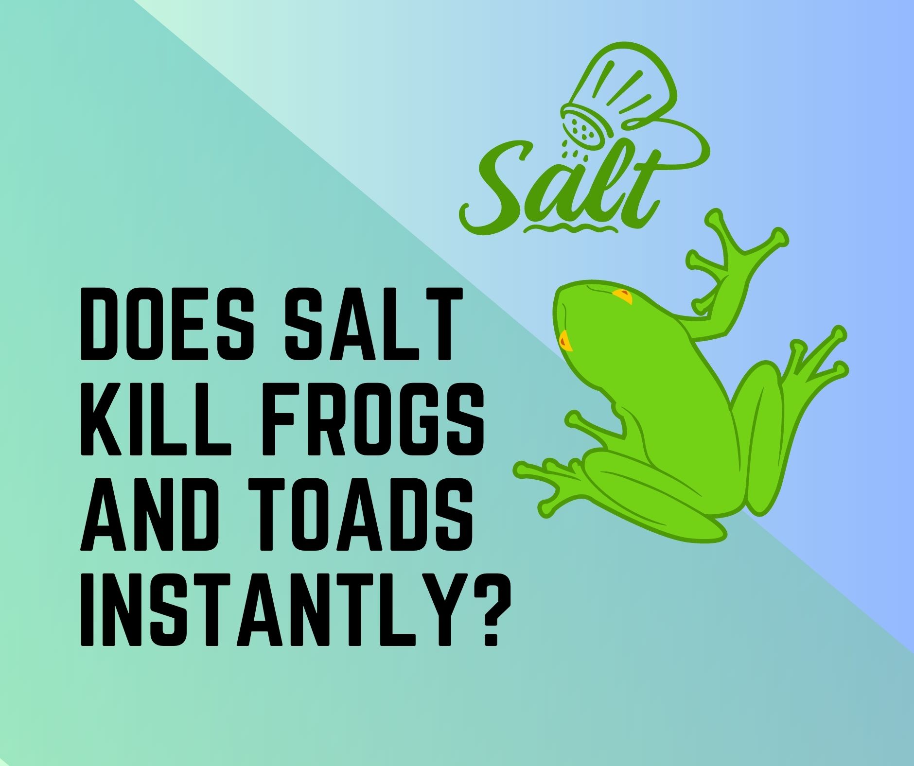 Does Salt Kill Frogs And Toads Instantly