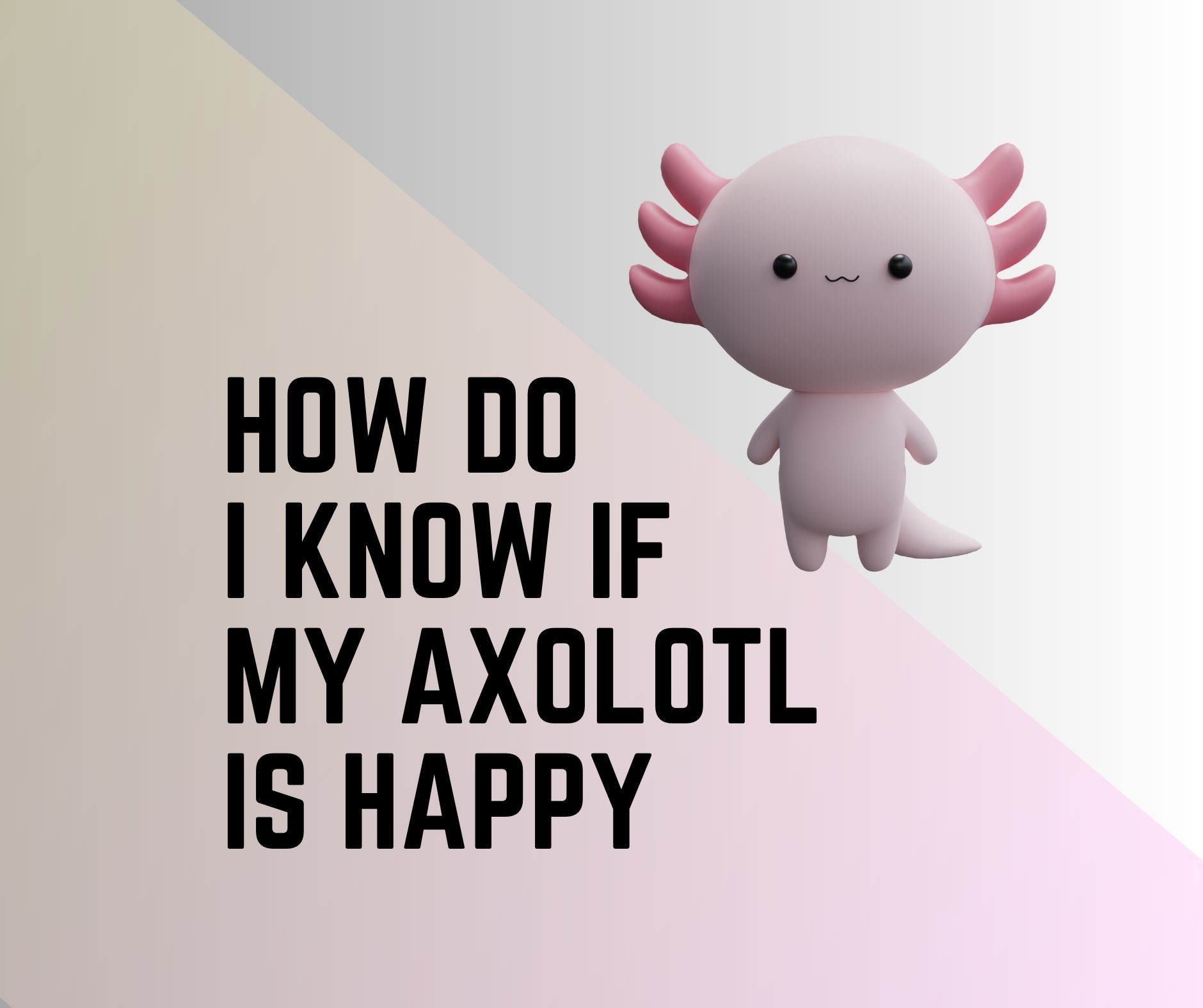 How Do I Know If My Axolotl Is Happy