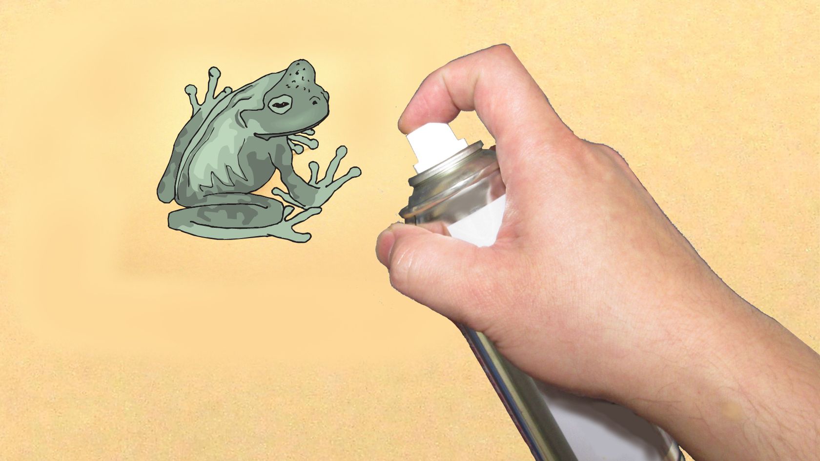 Does Salt Kill Frogs And Toads Instantly? Amphibian Life
