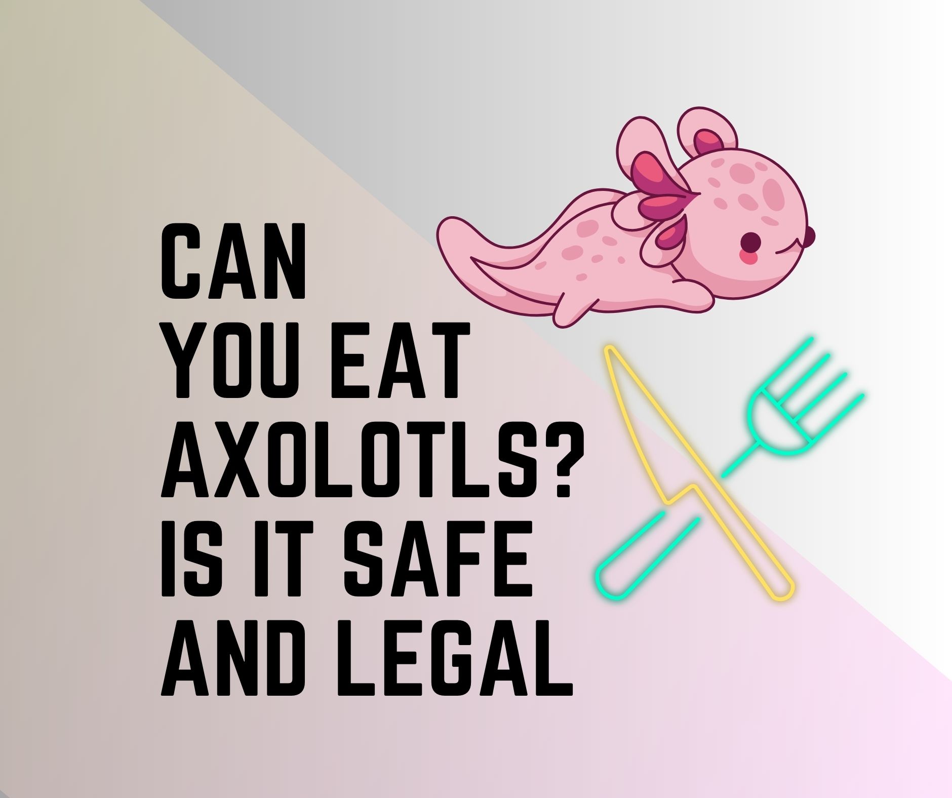 Can You Eat Axolotls