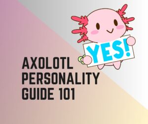 Axolotls Personality Guide 101