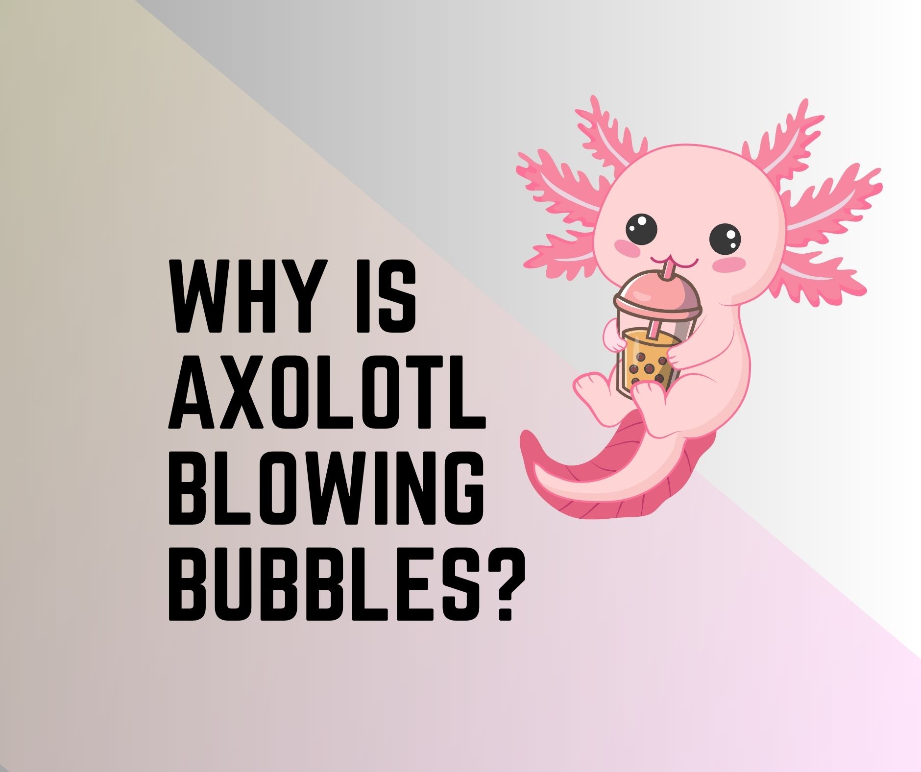 Why Is My Axolotl Blowing Bubbles