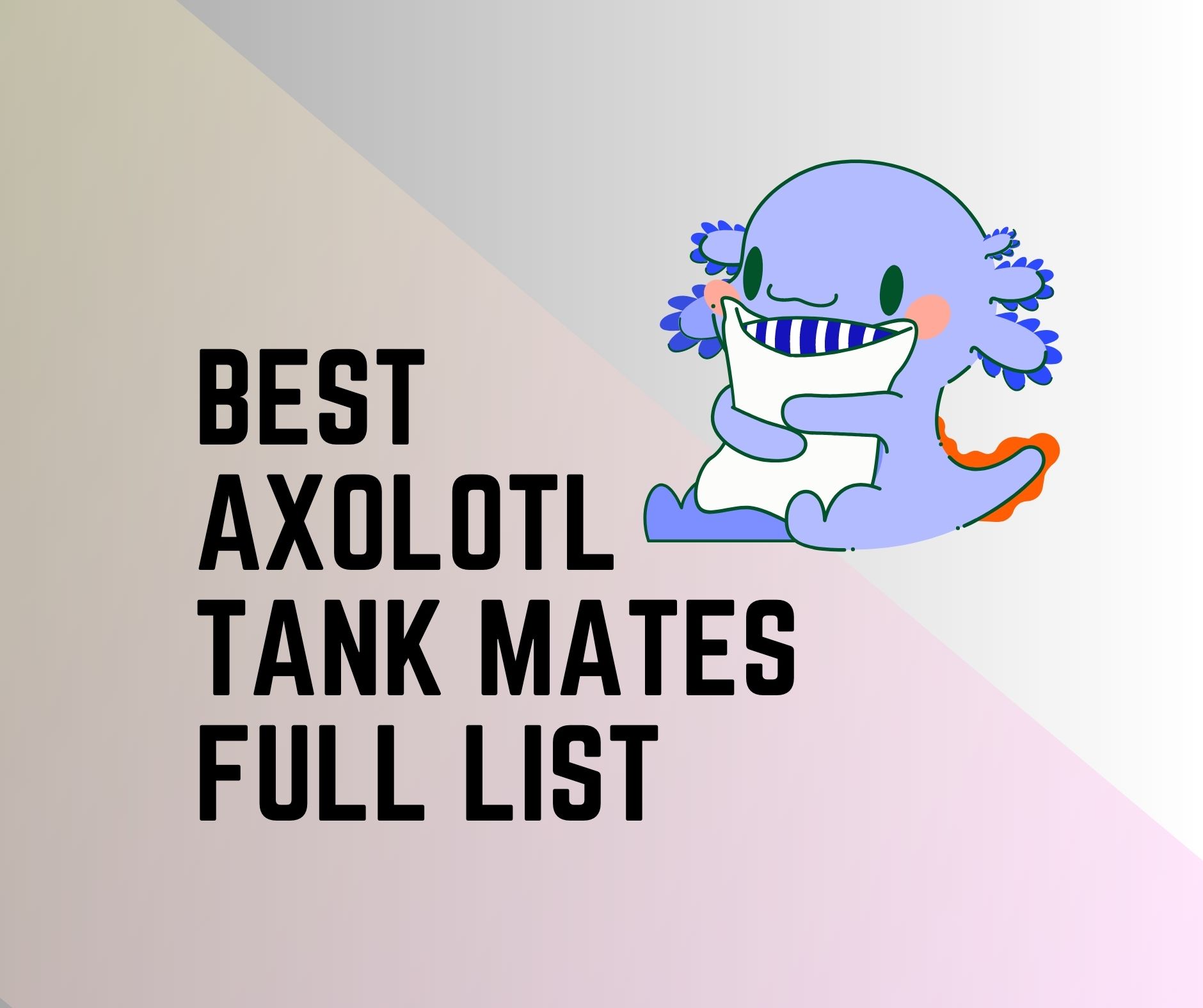 list of axolotl tank mates to consider