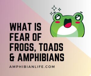 Fear of Amphibinas