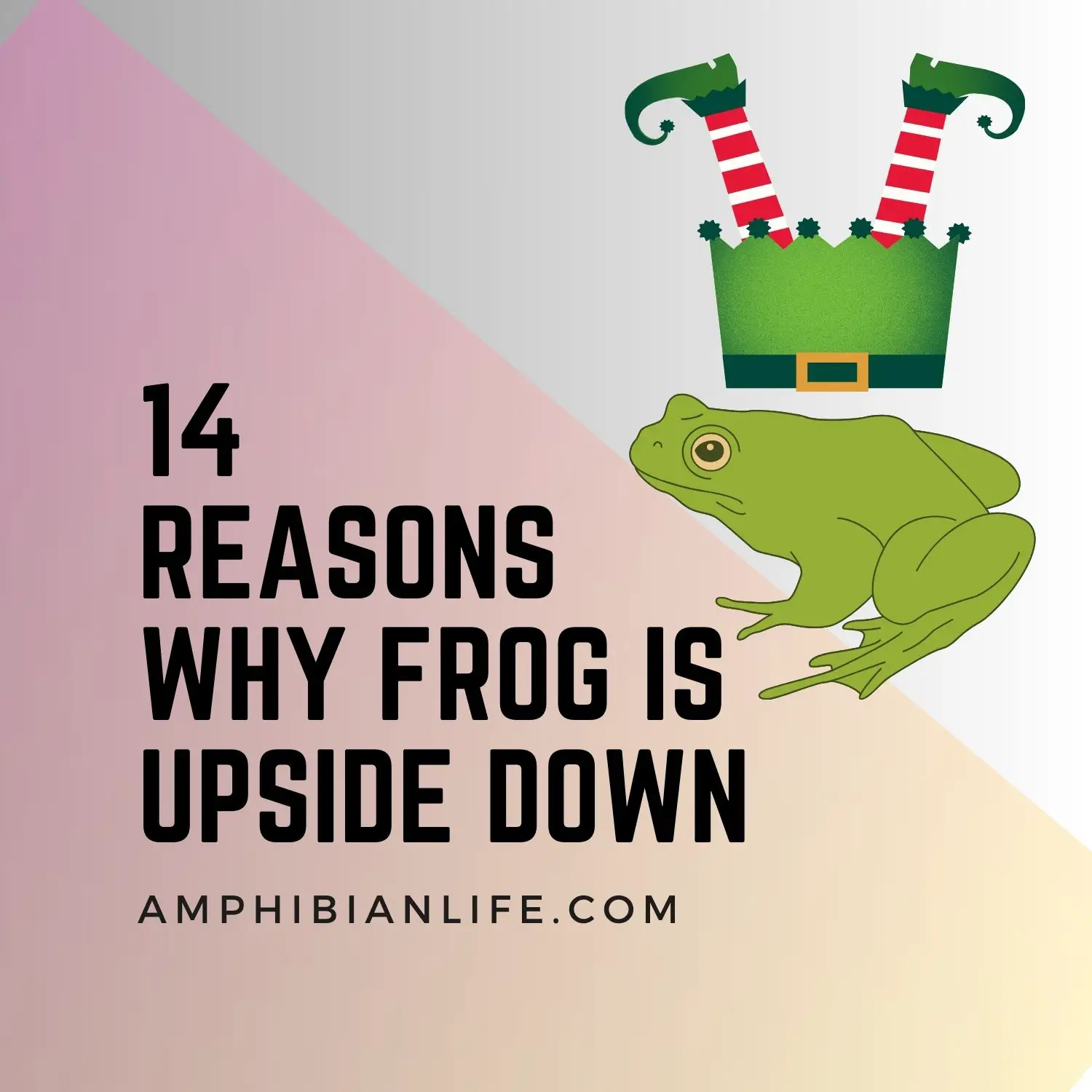 Reasons Why Your Frog Is Upside Down